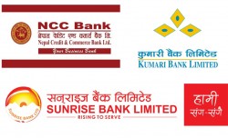 एनसीसी र कुमारी बैंकबीच मर्जरमा जान छलफल